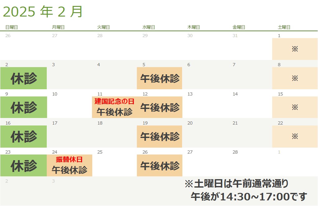 2月の診療スケジュール