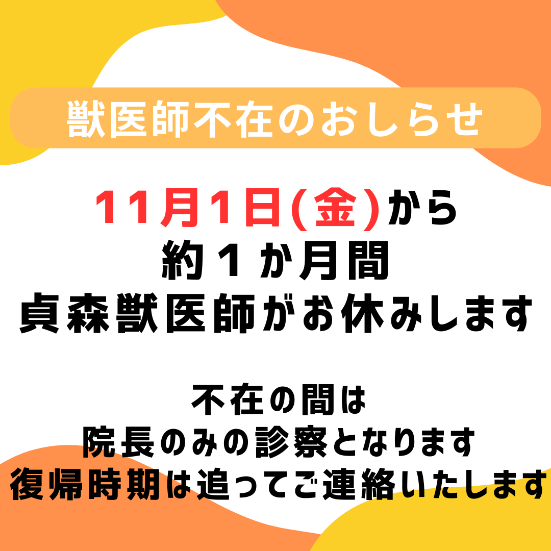 貞森獣医師不在のお知らせ